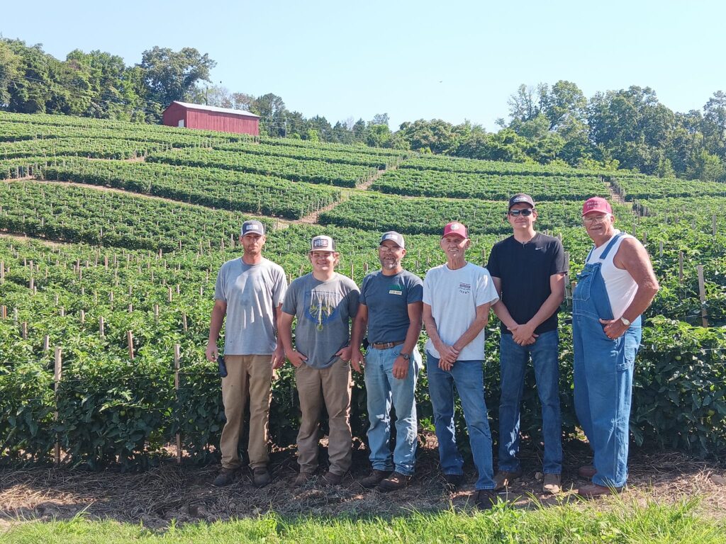 Morgan family standing in front of a field of tomato row crops 