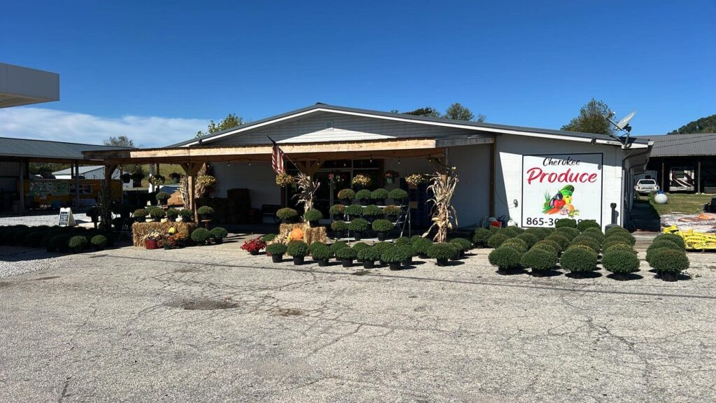 Cherokee Produce building with fall decoration and mums 